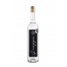 GRAPPA JP